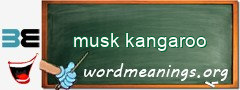 WordMeaning blackboard for musk kangaroo